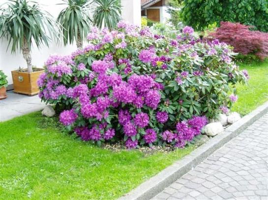 Bed and Breakfast Luxen Pension