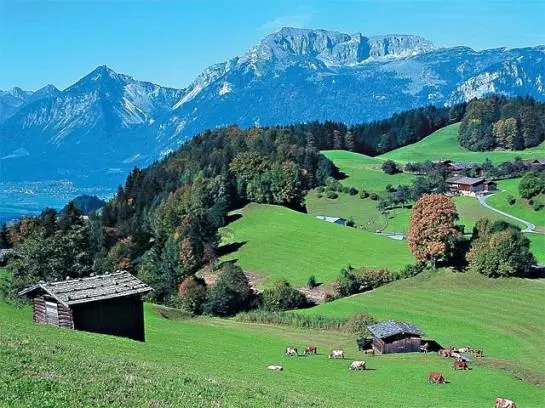 Bed and Breakfast Luxen Pension