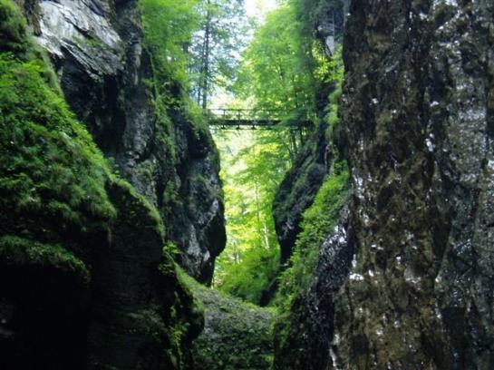 Bed and Breakfast Luxen Pension