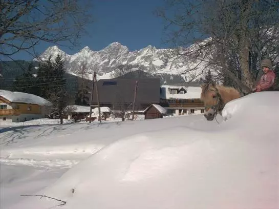 Hotel Steinbauer (ramsau)