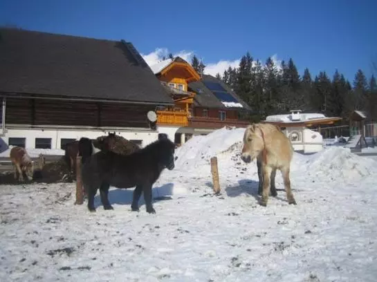 Hotel Steinbauer (ramsau)