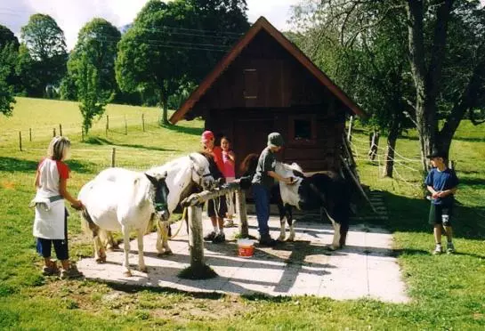 Hotel Steinbauer (ramsau)