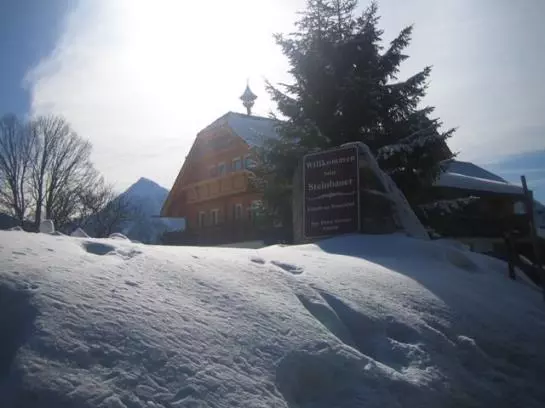 Hotel Steinbauer (ramsau)