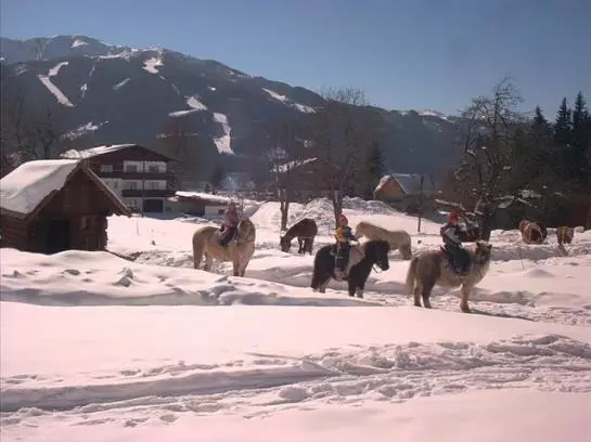 Hotel Steinbauer (ramsau)