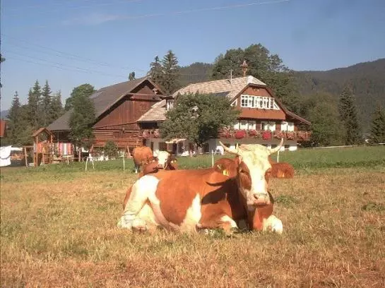 Hotel Steinbauer (ramsau)