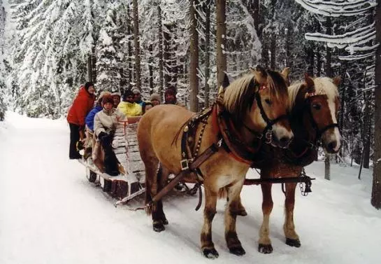 Hotel Steinbauer (ramsau)
