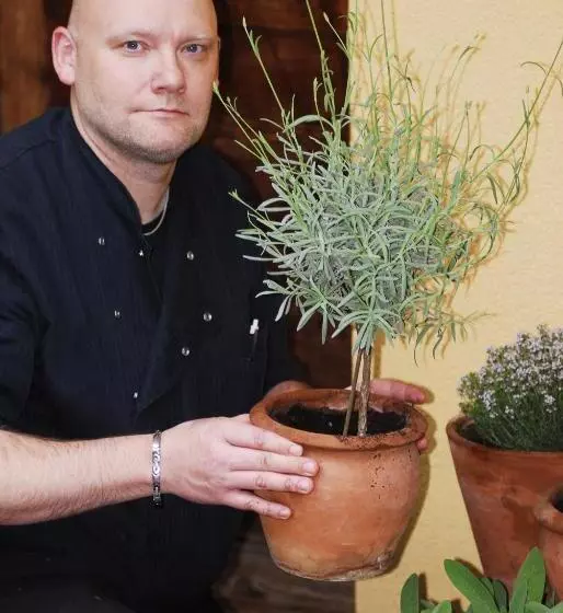 فندق Stockerwirt