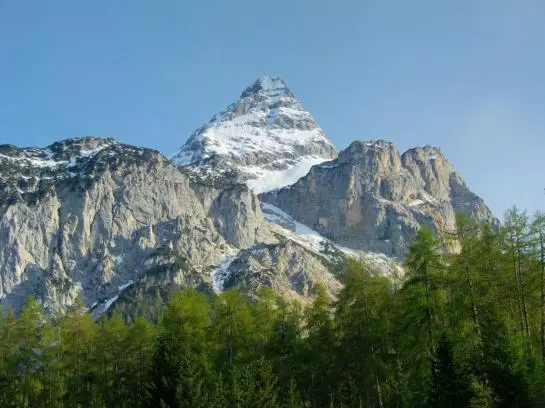 Waldhof Appartements Am Tennisplatz
