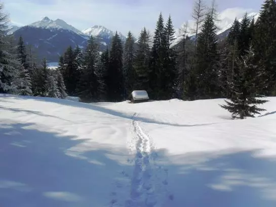 Waldhof Appartements Am Tennisplatz