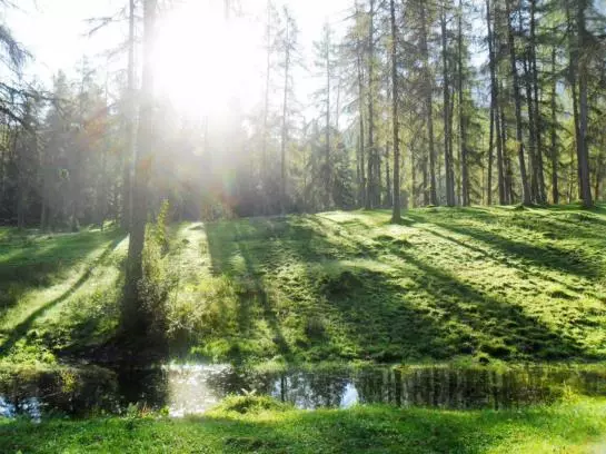 Waldhof Appartements Am Tennisplatz