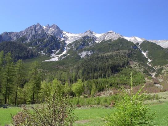 Пансион Wiesenruh Gasthof