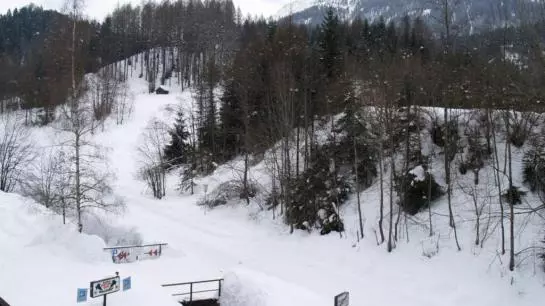 Пансион Wiesenruh Gasthof