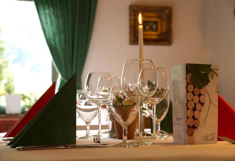 酒店 Zillertaler Weinstadl