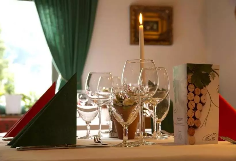 فندق Zillertaler Weinstadl