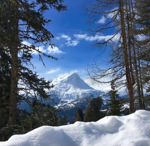 بنسيون Gasthof Martha