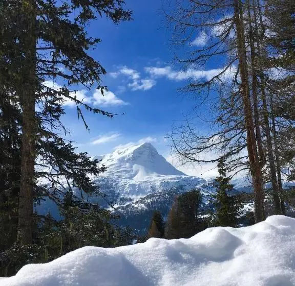 膳宿费 Gasthof Martha