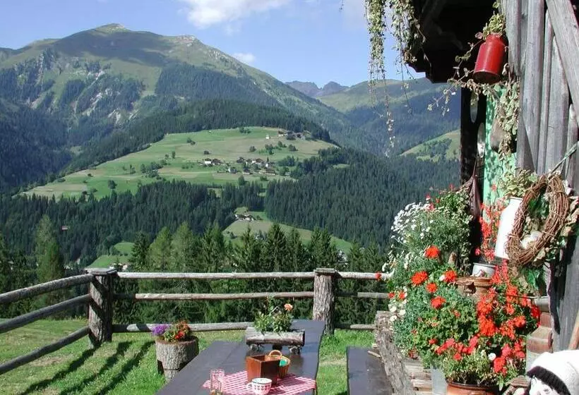 Stembergerhof Urlaub Am Bauerhof