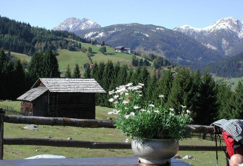 Stembergerhof Urlaub Am Bauerhof