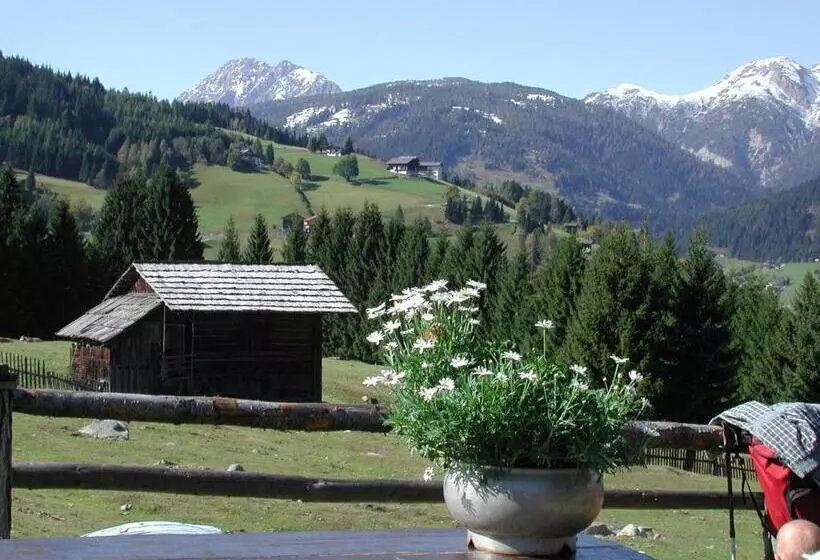 Stembergerhof Urlaub Am Bauerhof