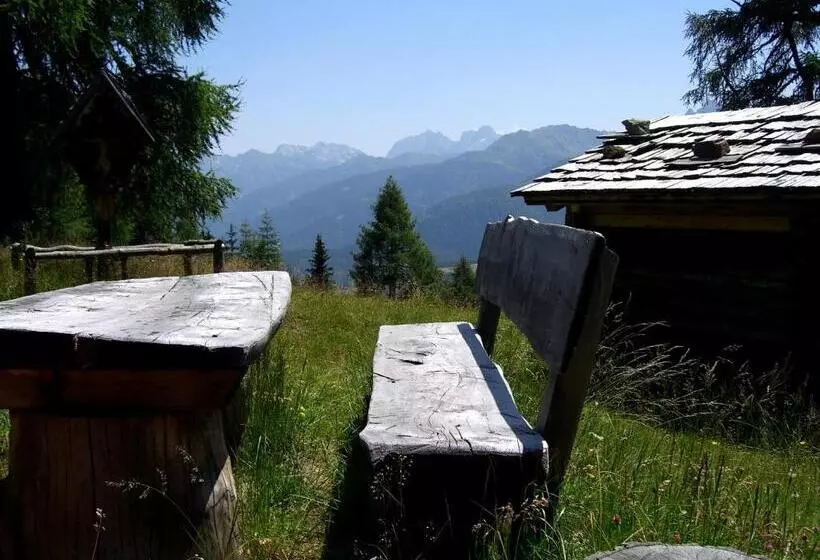 Stembergerhof Urlaub Am Bauerhof