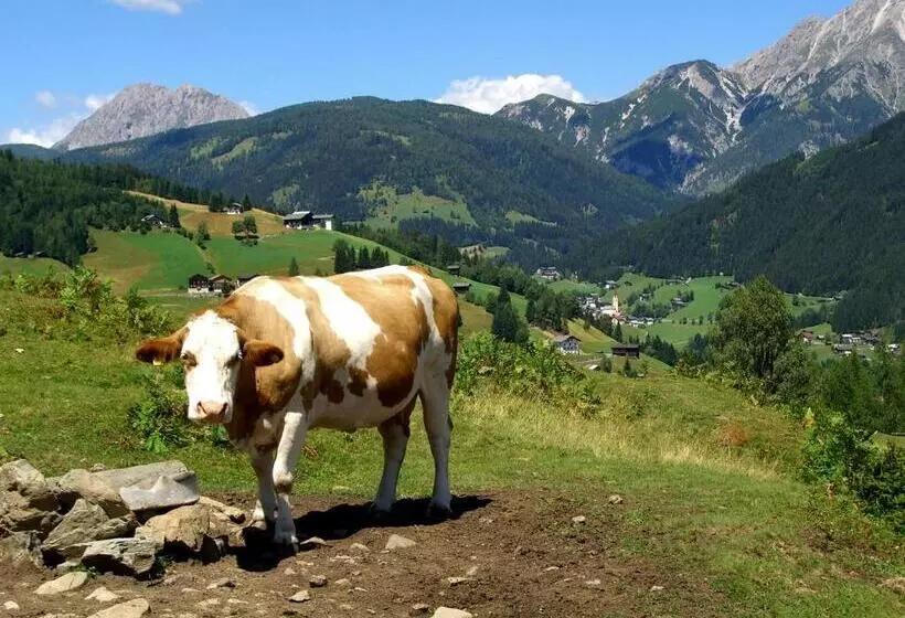 Stembergerhof Urlaub Am Bauerhof