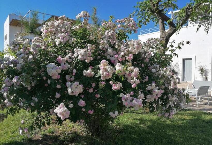 B&b Don Giovanni Monopoli