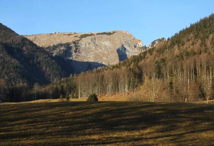 住宿加早餐  Haus Seeschwalbe