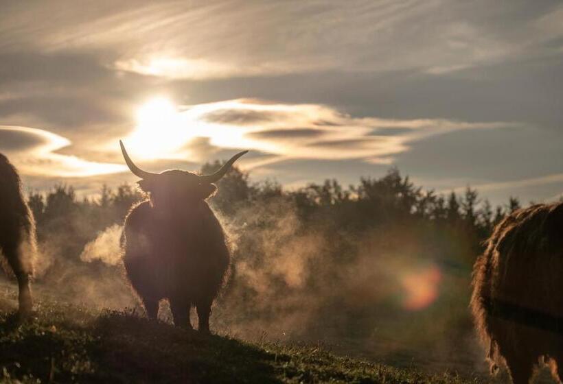 酒店 Aichingerwirt