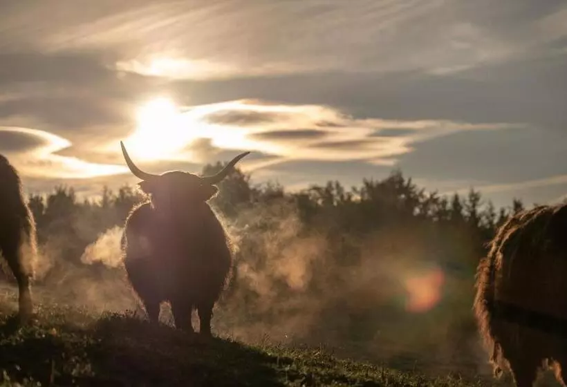 호텔 Aichingerwirt