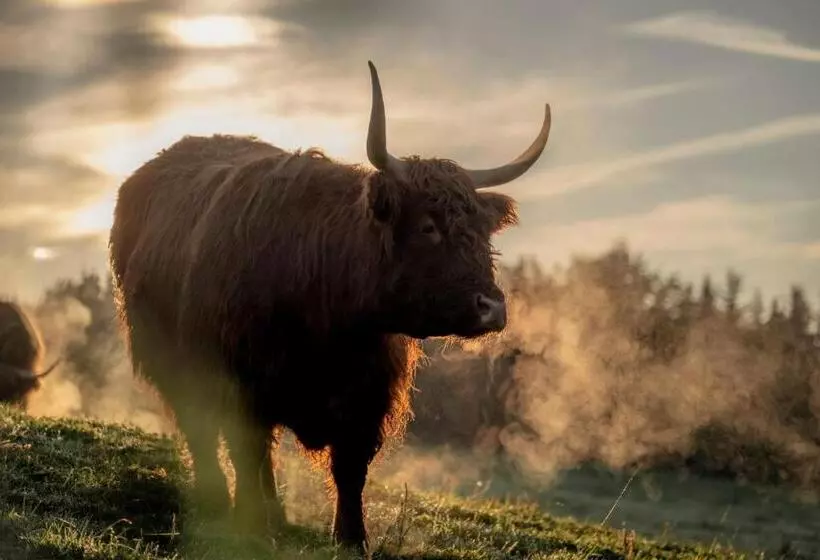 호텔 Aichingerwirt