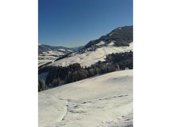 Bed and Breakfast Alpenblick Pension