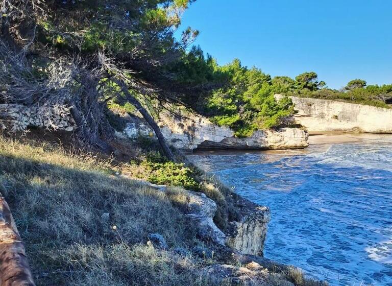 Отель Althea Village Residence