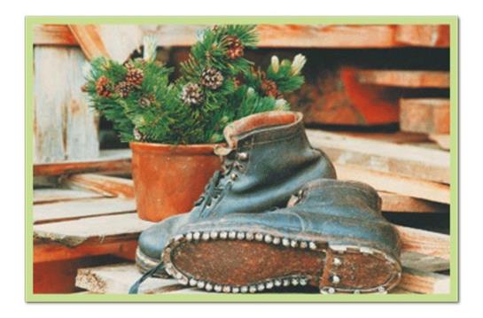 Bauernhof Agnes Straubinger Vulgo Schoetz