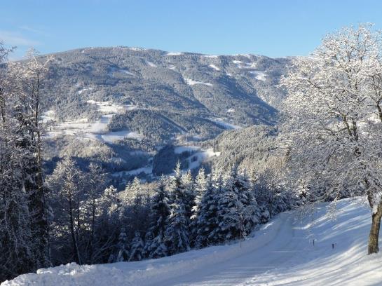 Bauernhof Angererhof