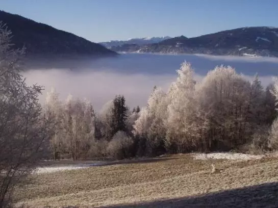 Bauernhof Angererhof