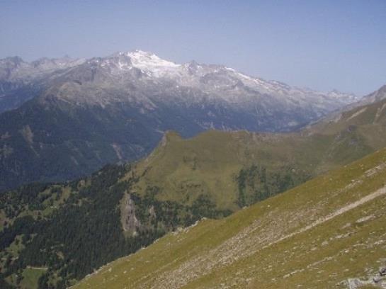 Bauernhof Angererhof