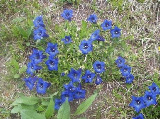 Bauernhof Angererhof