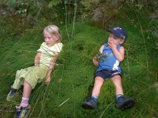 Urlaub Am Bauernhof Grabenhofer