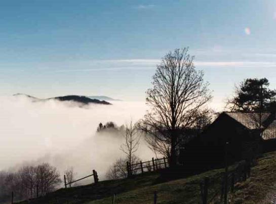 Urlaub Am Bauernhof Grabenhofer