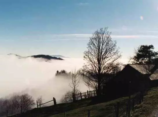 Urlaub Am Bauernhof Grabenhofer