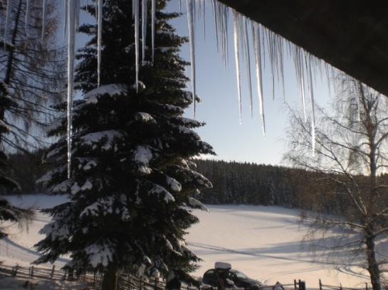 Urlaub Am Bauernhof Grabenhofer