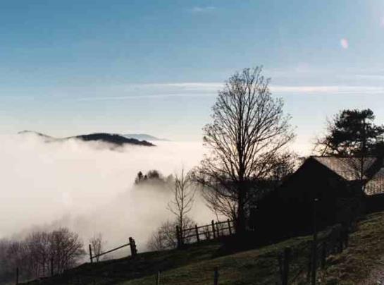 Urlaub Am Bauernhof Grabenhofer