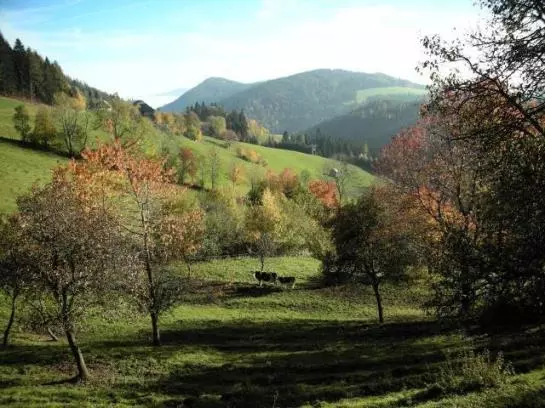 Urlaub Am Bauernhof Grabenhofer