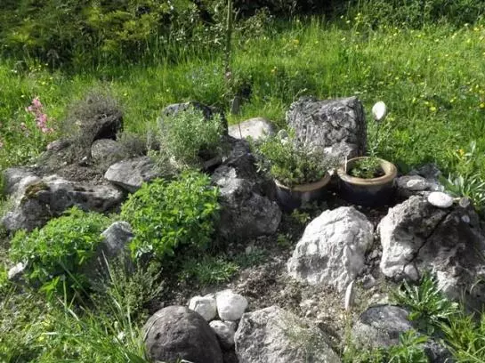 Bauernhof Ennsmanngut