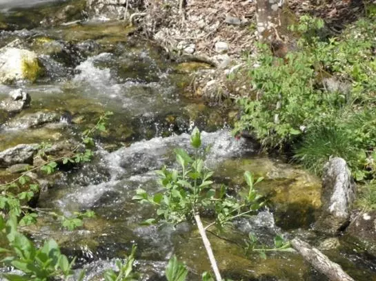 Bauernhof Ennsmanngut