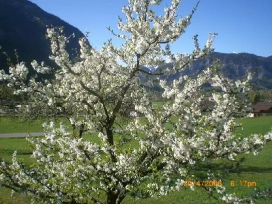 Bauernhof Ennsmanngut
