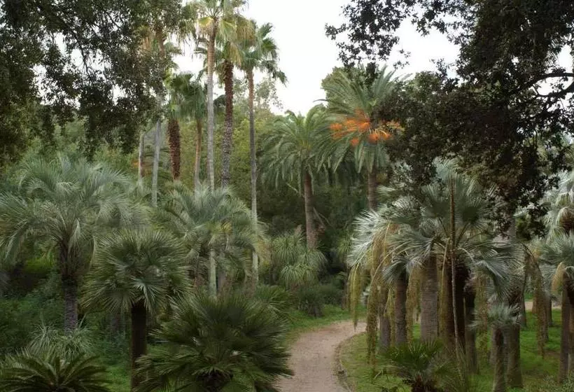 Hotel Camping Village Rosselba Le Palme