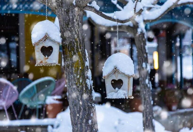 酒店 Ertl & Mexican Cantina Salud