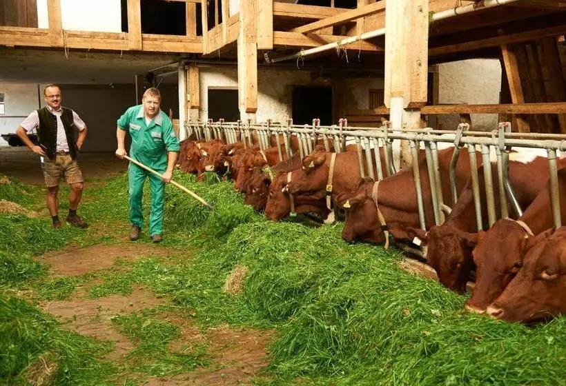 Отель Gastagwirt