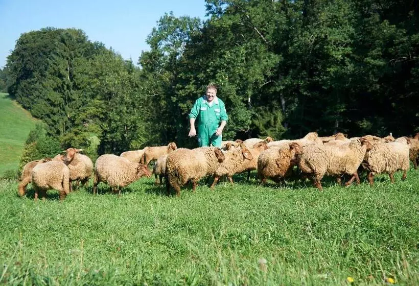 Отель Gastagwirt